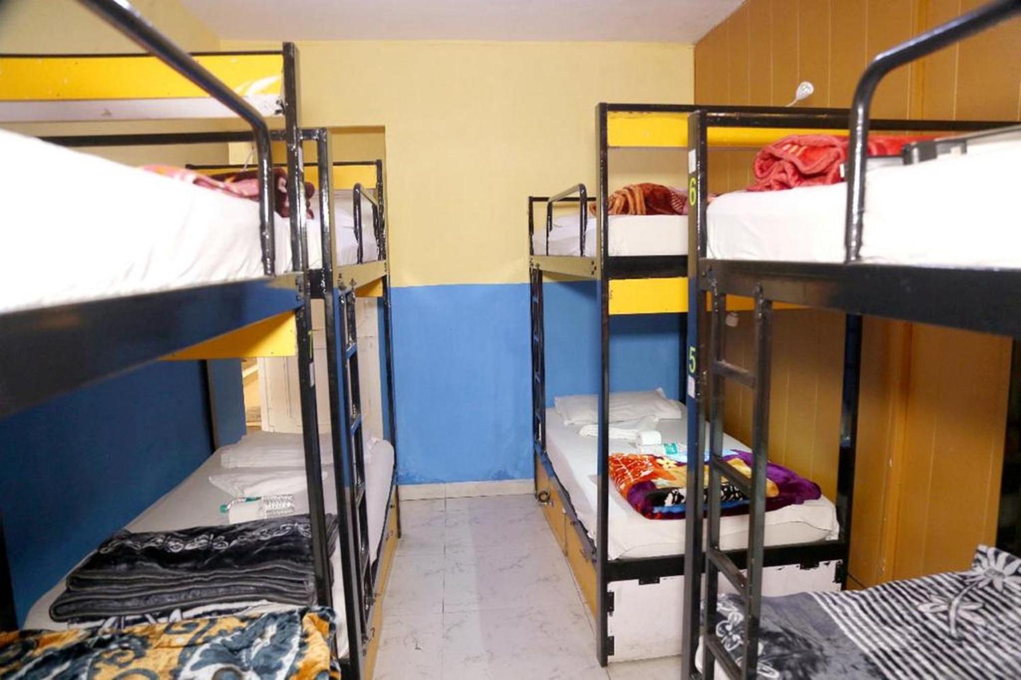 Bunk Hostel Delhi Best Backpacking Accommodation New Delhi Eksteriør bilde